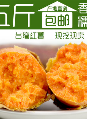 沙地台湾宝宝辅食红薯天天特价