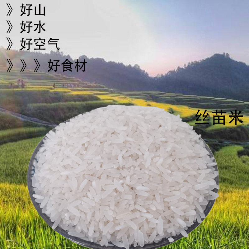 广东连山农家现磨不抛光长粒香米丝苗新米油粘大米籼米 胚芽米5kg