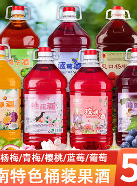 云南杨梅酒露酒5L大桶装玫瑰蓝莓樱桃百香果青梅梅子酒果酒露酒