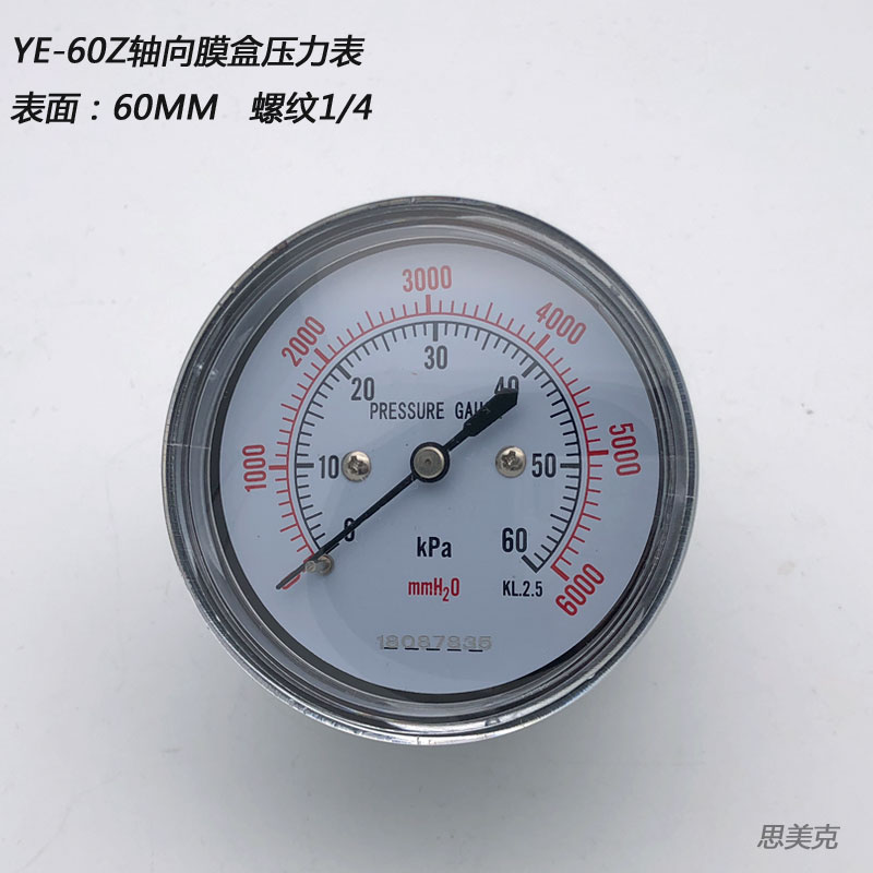 YE60Z轴向螺纹天然气膜盒压力表