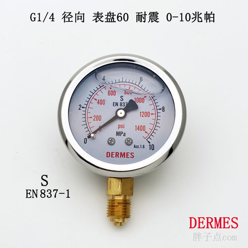 DERMES0-10MPa注塑机抗震油压表