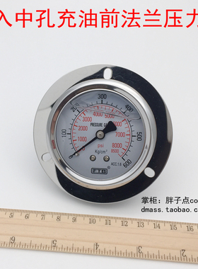 FTB轴向带边0-600KG液压表8500psi埋入中孔充油前法兰压力表PT1/4