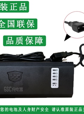 绿源电动车正品充电器原厂原装48V60V72V84V96V配件包邮