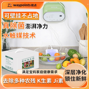 航点食材净化机果蔬消毒清洗家用净化器洗菜自动去残留洗水果神器