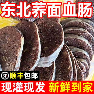 东北荞面肥肠猪血肠香肠纯手工真空新鲜现罐老式荞麦面肠顺丰包邮
