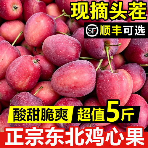 东北特产鸡心果小沙果锦绣海棠果酸甜当季应季孕妇小苹果整箱包邮