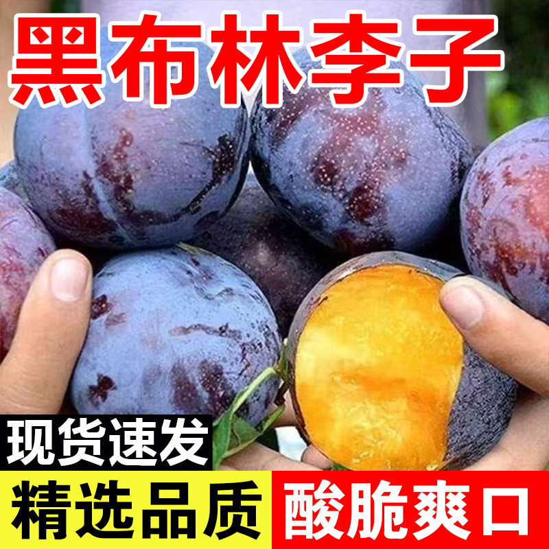 正宗黑布林李子脱骨李脆皮李子孕妇水果酸脆大李子酸安格诺李子
