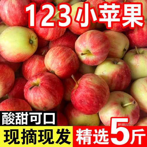 东北特产123小苹果沙果新鲜当季应季孕妇水果酸甜脆海棠花红苹果