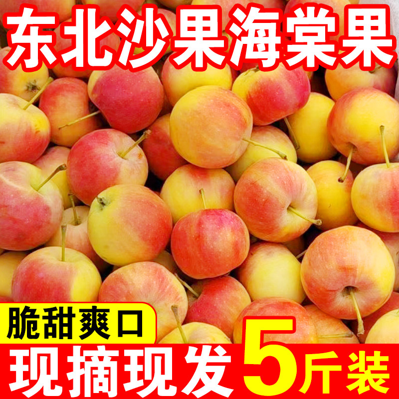 东北新鲜海棠果黄太平小沙果当季应季孕妇水果酸甜脆小苹果5斤