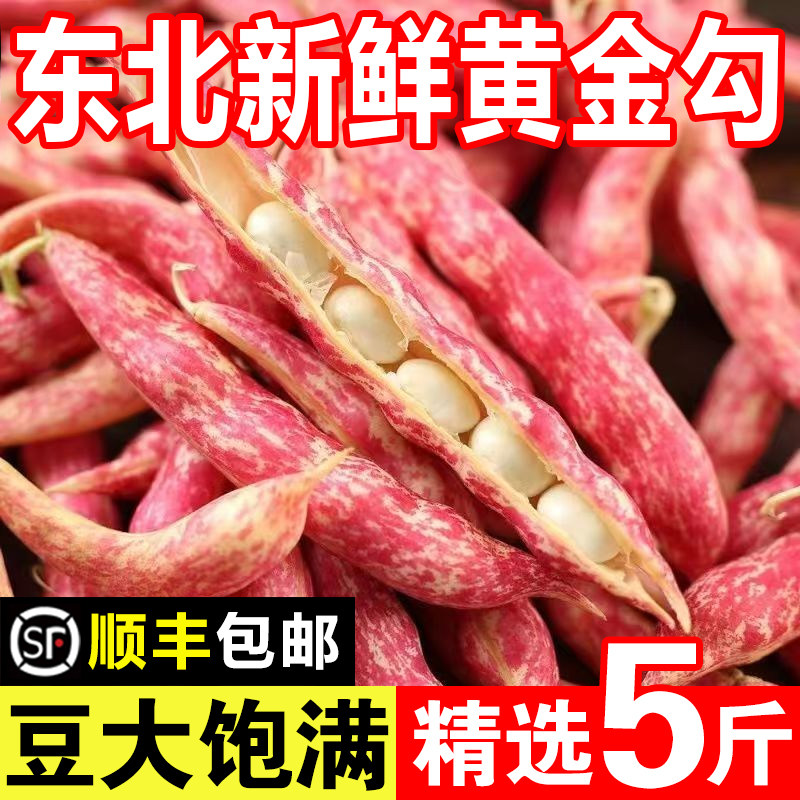 东北特产新鲜黄金勾豆角黄金钩红金钩油豆角鼓豆新鲜蔬菜5斤包邮