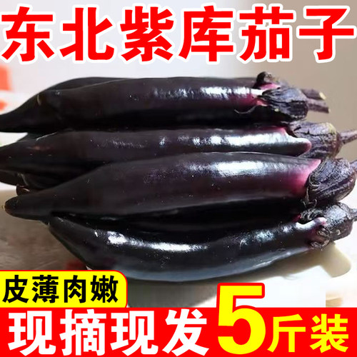 东北特产小紫茄子水果茄子蒜茄子蘸酱菜现摘现发新鲜紫把农家自种