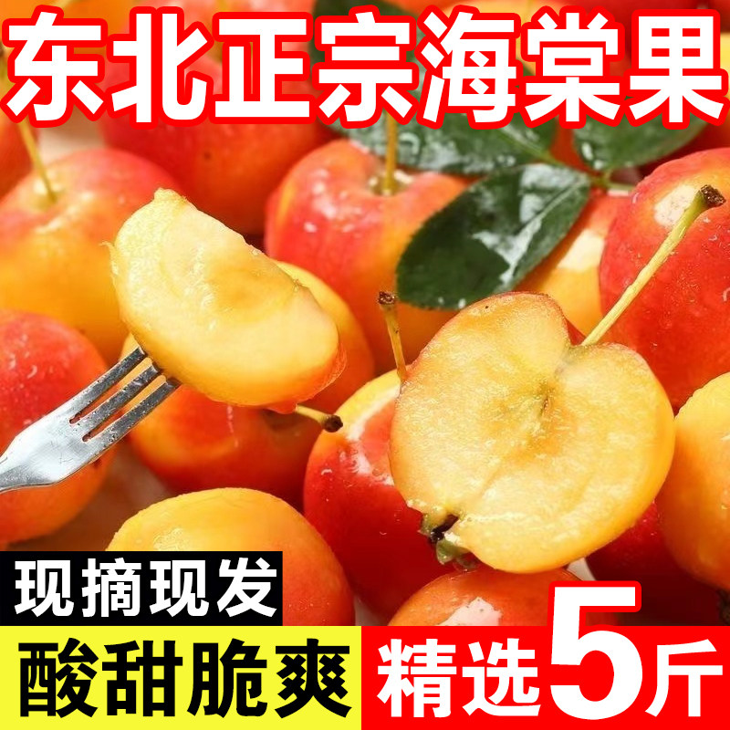 东北海棠果现摘现发当季酸甜爽口孕妇水果新鲜水果小沙果整箱包邮