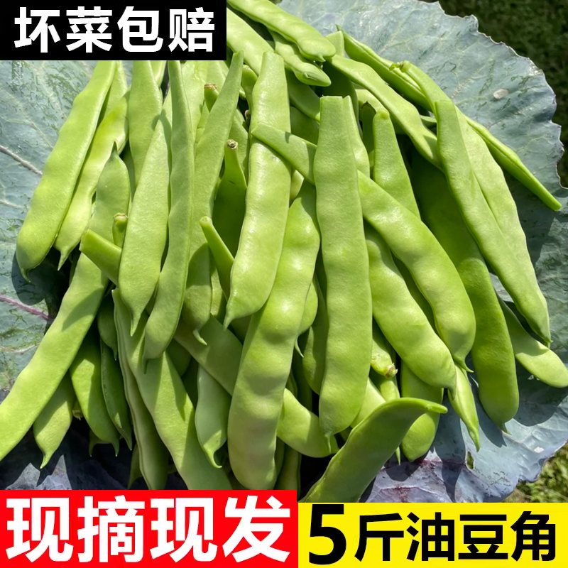 东北油豆角扁豆角一点红九月青