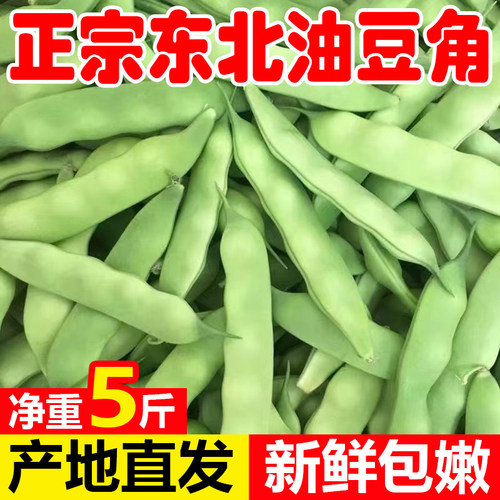 东北油豆角扁豆角一点红九月青