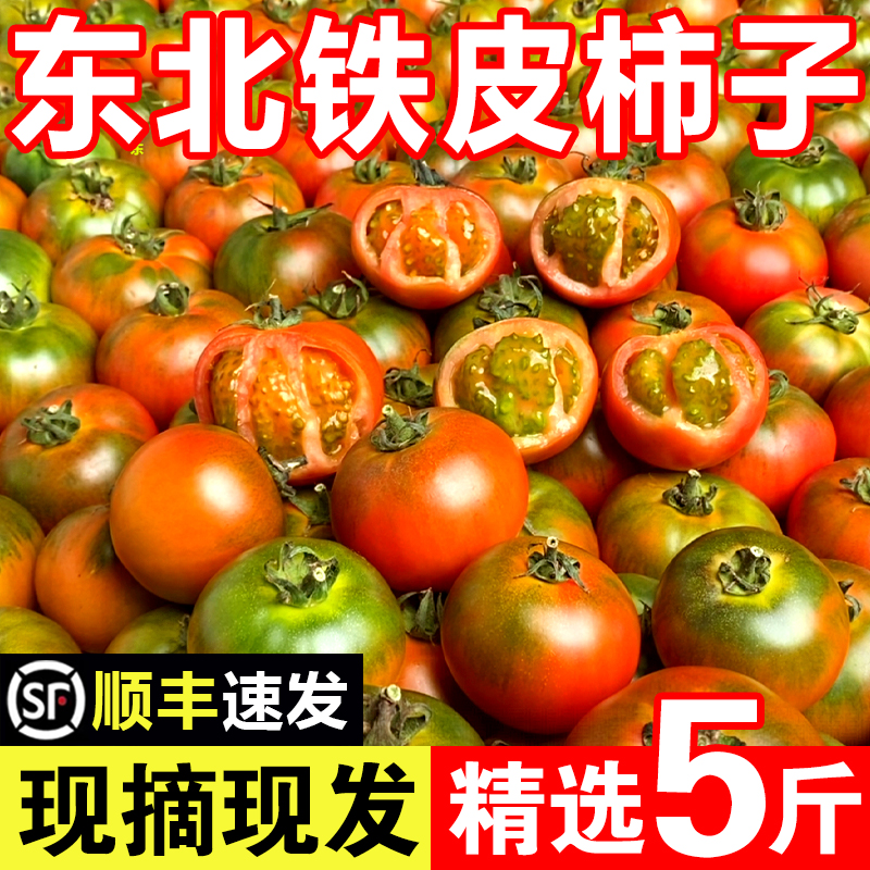 草莓柿子包邮丹东铁皮柿子绿腚柿子西红柿梅盘锦碱地柿子新鲜5斤