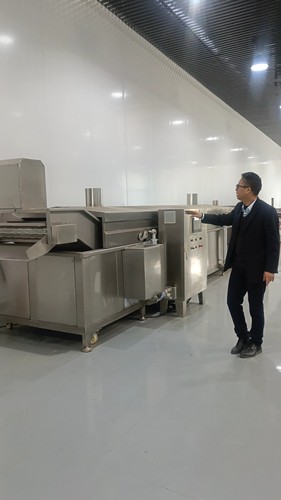 商用油炸生产流水线食品厂专用电加热燃气导热油方式油炸设备线