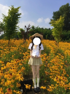 叠穿小杏中格裙日系百搭套装 衬衫 原创JK制服校供感小岛短袖 女夏季