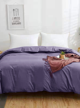 2024简约素色烟熏紫色全棉单品被套纯色紫色百搭四季款单色棉被罩
