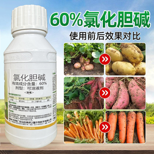 60%氯化胆碱咸大蒜姜洋葱红薯花生土豆人参药材姜地下根茎膨大剂