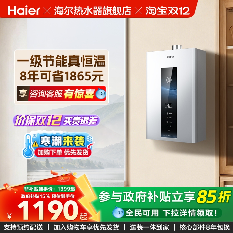 政府以旧换新海尔燃气天然气热水器一级节能水伺服恒温家用WM5PRO