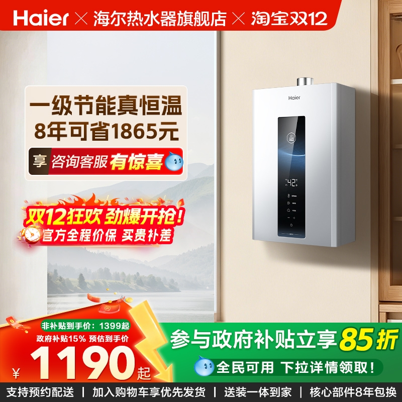 政府以旧换新海尔燃气天然气热水器一级节能水伺服恒温家用WM5PRO
