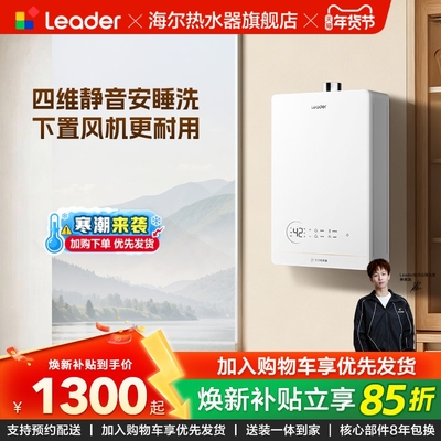 海尔静音安睡燃气热水器LB5