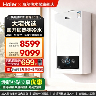 海尔一级能效燃气热水器采暖炉壁挂炉家用静音零冷水锅炉JN7PLUS