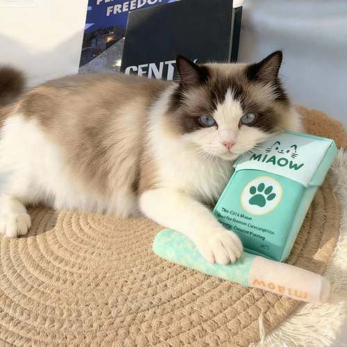 爆款猫薄荷烟猫玩具自嗨解闷口腔清洁逗猫棒猫咪磨牙棒猫咪