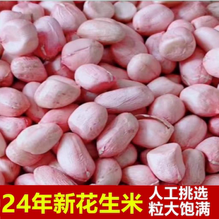 25年新花生米现拨花生白皮新鲜花生仁榨油不带壳白沙花生