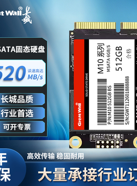 全新长城mSATA固态硬盘512g128g广告机收银机mini工控机64g2TBSSD