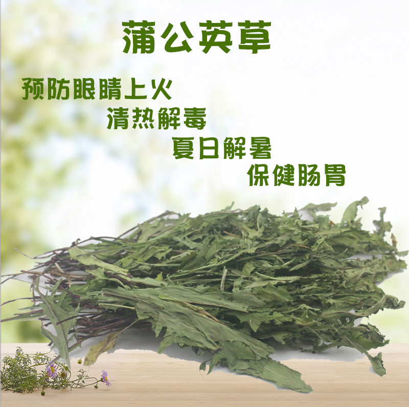 蒲公英干草50g兔子荷兰猪龙猫干草清热解毒抗菌消炎零食保健草,宠物/宠物食品及用品,兔兔干草,淘宝优惠券,粉丝福利购,淘宝优惠卷