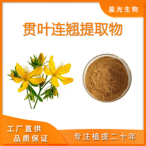 贯叶连翘提取物浓缩精华粉 金丝桃素0.3% 圣约翰草提取物100克