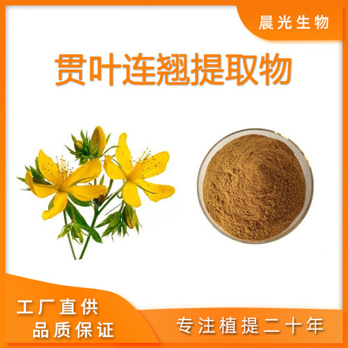 贯叶连翘提取物浓缩精华粉 金丝桃素0.3% 圣约翰草提取物100克