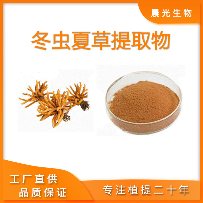 蛹虫草提取物 虫草多糖50%60% 虫草素 浓缩粉末天然品质