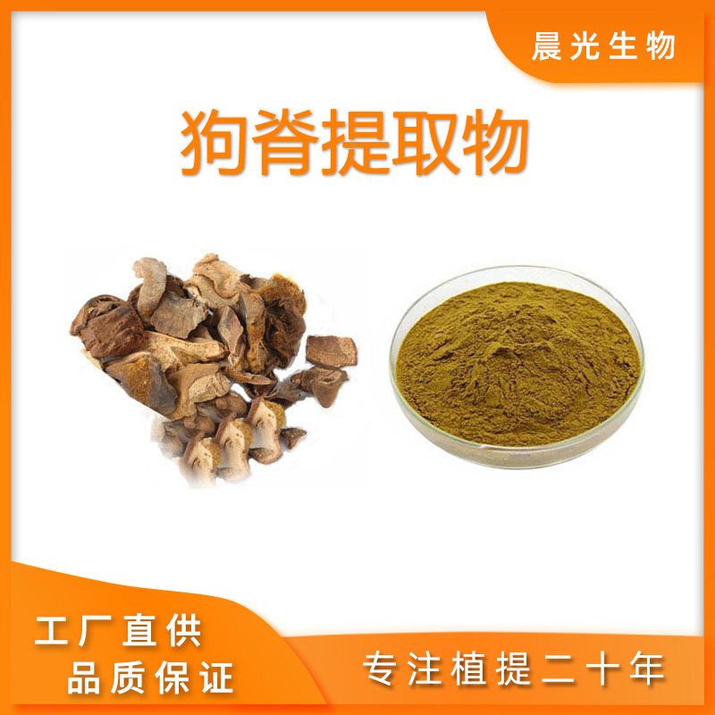 狗脊提取物 天然高品质原料提取 狗脊浓缩精华粉末 金狗脊 直供