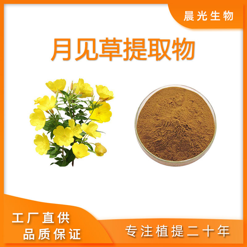 月见草提取物 待宵草山芝麻天然植物萃取水溶粉比例提取 专业工厂