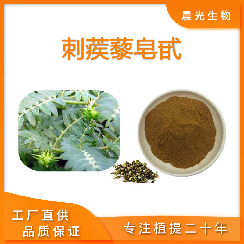 刺蒺藜皂甙粉 刺蒺藜提取物皂甙90%食品级原料 健身运动