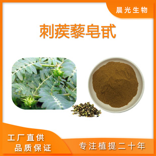 刺蒺藜皂甙粉 刺蒺藜提取物皂甙90%食品级原料 健身运动