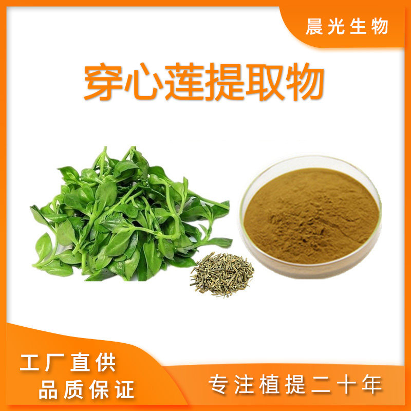 穿心莲提取物 优质穿心莲浓缩粉提取物精华包邮30:1现货包邮100克
