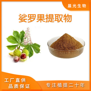 娑罗果提取物 娑罗果20:1 七叶树种子提取物粉 沙罗果粉工厂现发