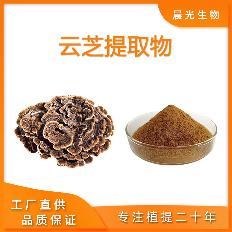 云芝提取物 云芝多糖40%60%80%精品 云芝浓缩精细粉末 现货直供