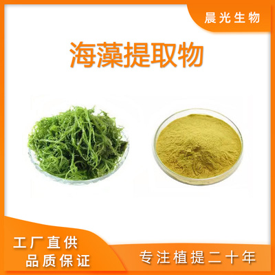 海藻提取物 水溶粉 海藻多糖海草萃取 海根菜植物提取 现货直供