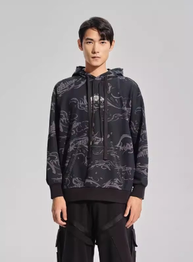 Lining/李宁正品男女同款时尚休闲舒适运动套头连帽卫衣AWDSI43