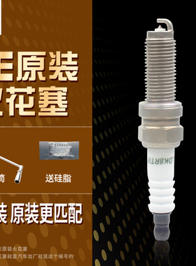 OE217火花塞适配启辰星T90大V东南DX7风行T5游艇LDK8RTIP-A火炬
