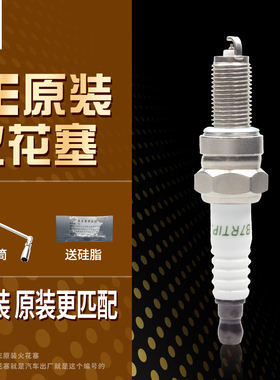 OE213火炬原厂火花塞B7RTIP小海狮X30L金杯T52T50T32T30T22ST20S