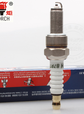 火炬火花塞B7RTC金杯小海狮X30海DLCG12小海狮X30火嘴B7RIU