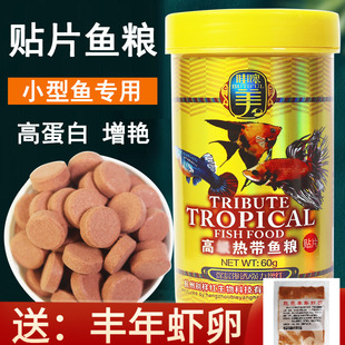 贴片鱼食小型鱼饲料高蛋白孔雀鱼鱼粮热带鱼斗鱼灯科神仙微粒增色