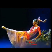 桃李杯傣族民间独舞鱼儿演出服少数民族舞蹈服古典中国风艺考定制