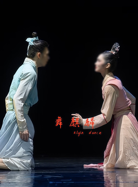 新款古典舞楼台会同款舞蹈服双人舞舞台表演服定制舞台剧目演出服