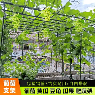 牵引架猕猴桃南瓜葫芦架 庭院户外葡萄架百香果专用爬藤架子立柱式